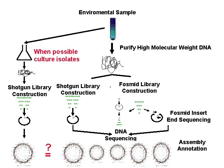 Enviromental Sample Shotgun Library Construction ===== === === == == = = = =