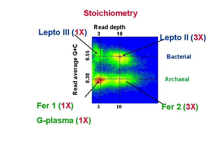Stoichiometry 10 0. 55 3 Fer 1 (1 X) G-plasma (1 X) Lepto II