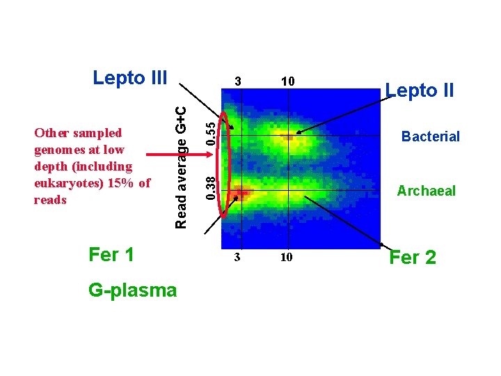 Lepto III Fer 1 G-plasma 0. 55 10 Lepto II Bacterial 0. 38 Read