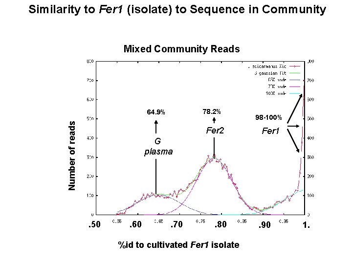 Similarity to Fer 1 (isolate) to Sequence in Community Mixed Community Reads 78. 2%