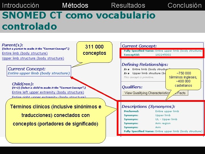 Introducción Métodos Resultados Conclusión SNOMED CT como vocabulario controlado 311 000 conceptos ~750 000