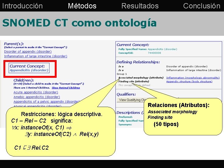 Introducción Métodos Resultados Conclusión SNOMED CT como ontología Relaciones (Atributos): Restricciones: lógica descriptiva. C