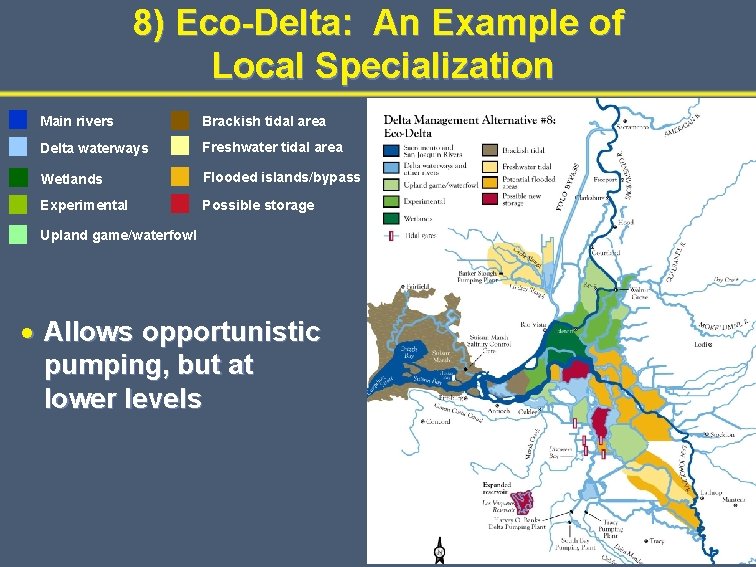 8) Eco-Delta: An Example of Local Specialization Main rivers Brackish tidal area Delta waterways