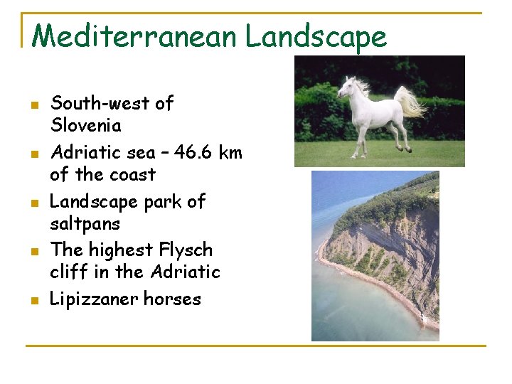 Mediterranean Landscape n n n South-west of Slovenia Adriatic sea – 46. 6 km