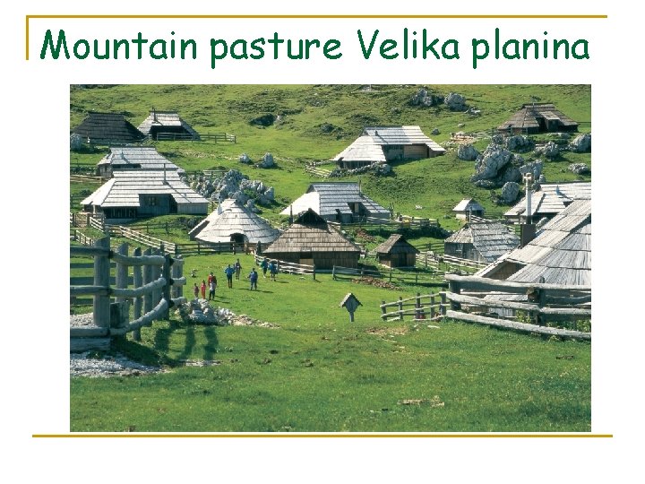 Mountain pasture Velika planina 