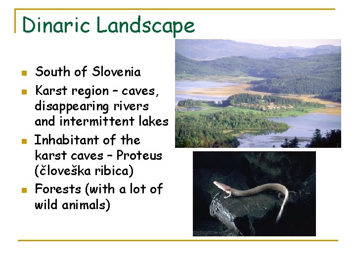 Dinaric Landscape n n South of Slovenia Karst region – caves, disappearing rivers and