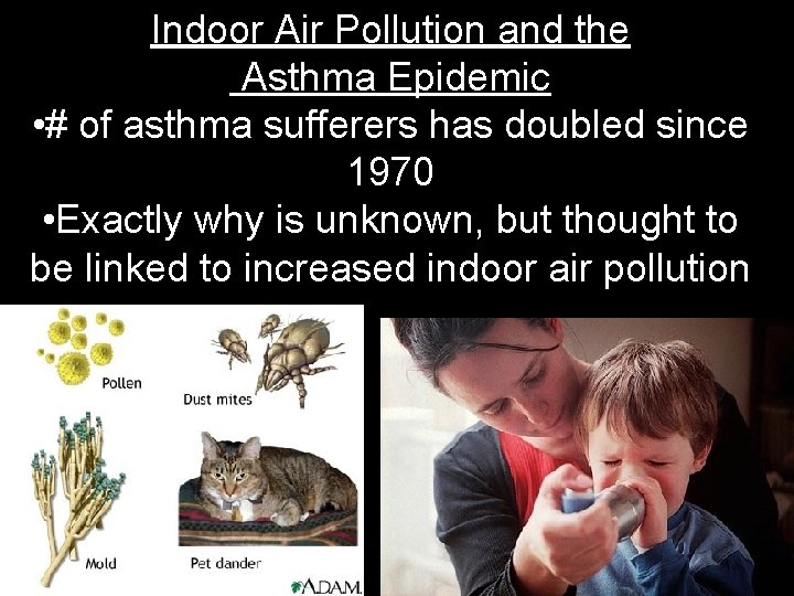 Indoor Air Pollution and the Asthma Epidemic • # of asthma sufferers has doubled
