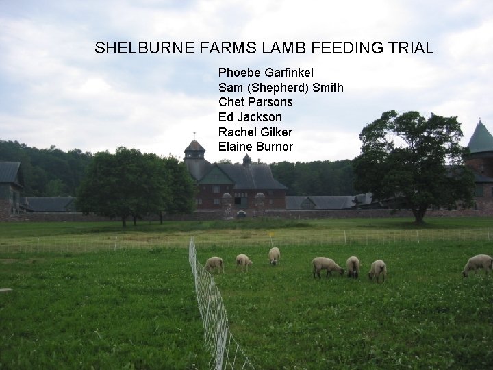 SHELBURNE FARMS LAMB FEEDING TRIAL Phoebe Garfinkel Sam (Shepherd) Smith Chet Parsons Ed Jackson