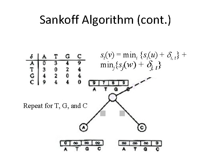 Sankoff Algorithm (cont. ) st(v) = mini {si(u) + i, t} + minj{sj(w) +