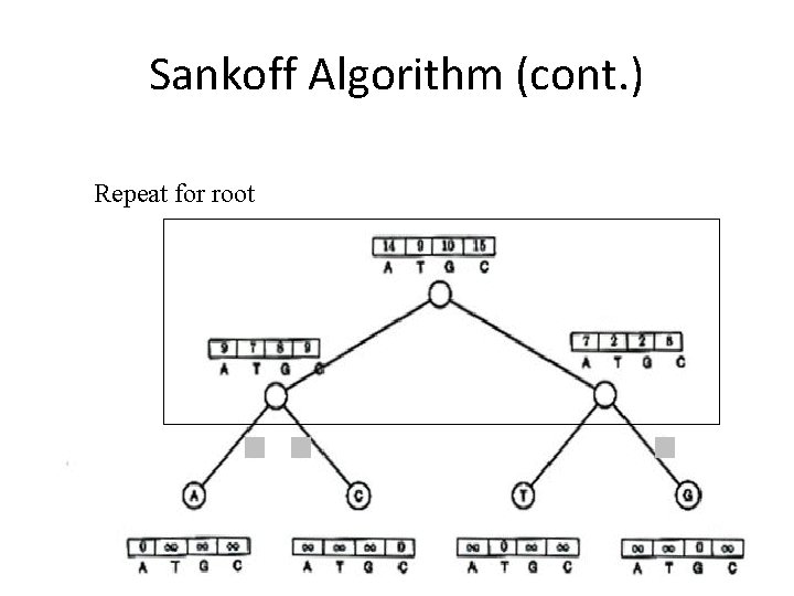 Sankoff Algorithm (cont. ) Repeat for root 