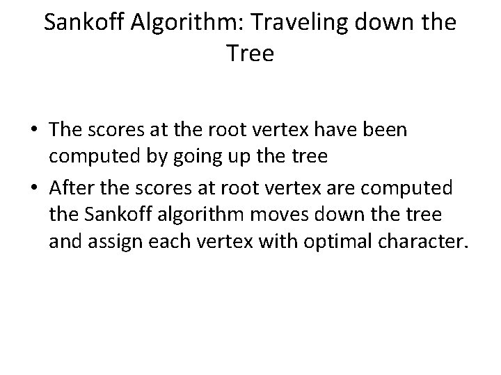 Sankoff Algorithm: Traveling down the Tree • The scores at the root vertex have