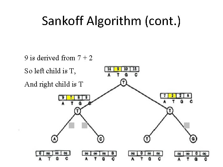 Sankoff Algorithm (cont. ) 9 is derived from 7 + 2 So left child