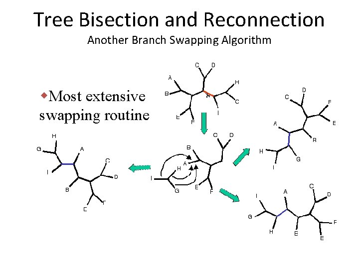 Tree Bisection and Reconnection Another Branch Swapping Algorithm w. Most extensive swapping routine 