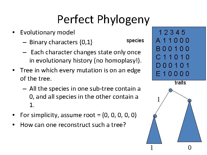Perfect Phylogeny • Evolutionary model species – Binary characters {0, 1} – Each character