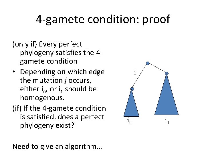 4 -gamete condition: proof (only if) Every perfect phylogeny satisfies the 4 gamete condition