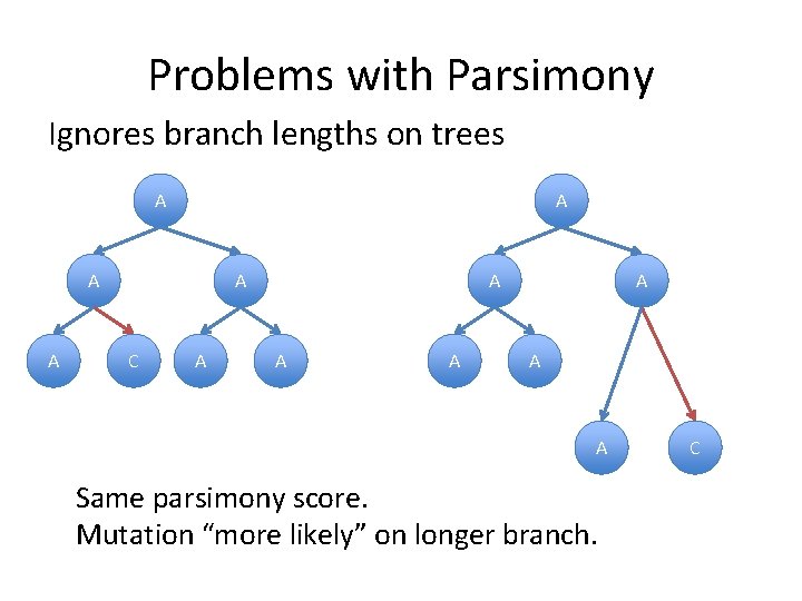 Problems with Parsimony Ignores branch lengths on trees A A A C A A