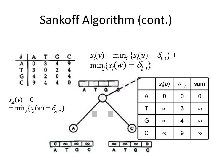 Sankoff Algorithm (cont. ) st(v) = mini {si(u) + i, t} + minj{sj(w) +