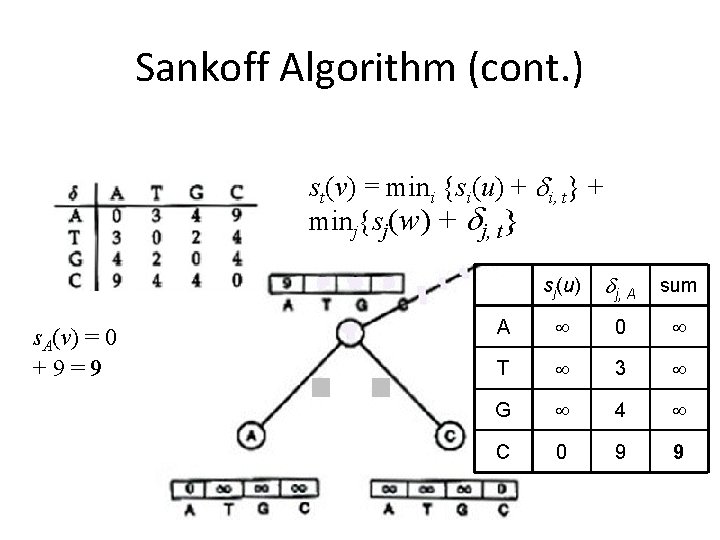 Sankoff Algorithm (cont. ) st(v) = mini {si(u) + i, t} + minj{sj(w) +