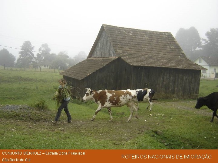 CONJUNTO BIEKHOLZ – Estrada Dona Francisca/ São Bento do Sul ROTEIROS NACIONAIS DE IMIGRAÇÃO