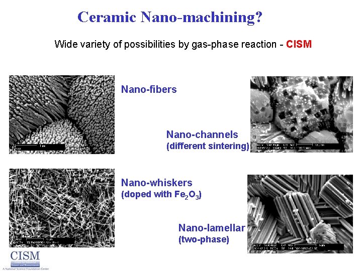 Ceramic Nano-machining? Wide variety of possibilities by gas-phase reaction - CISM Nano-fibers Nano-channels (different