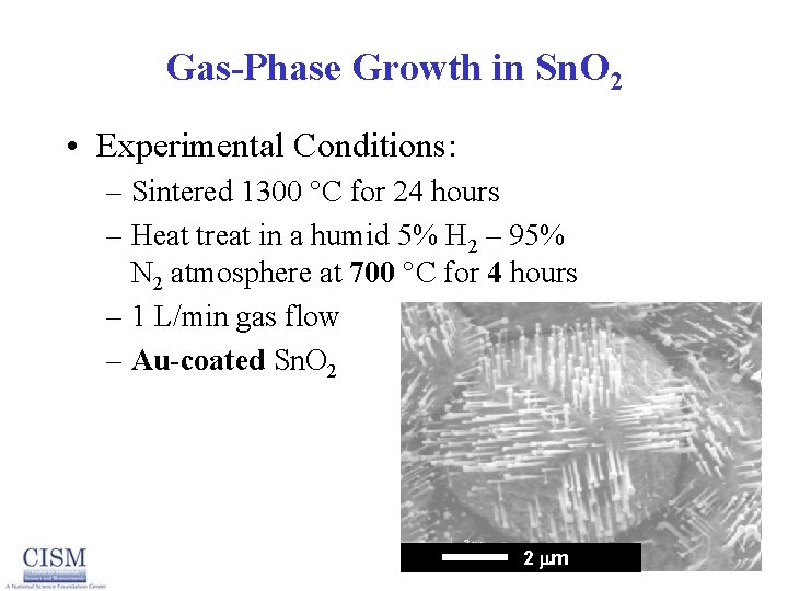 Gas-Phase Growth in Sn. O 2 • Experimental Conditions: – Sintered 1300 C for