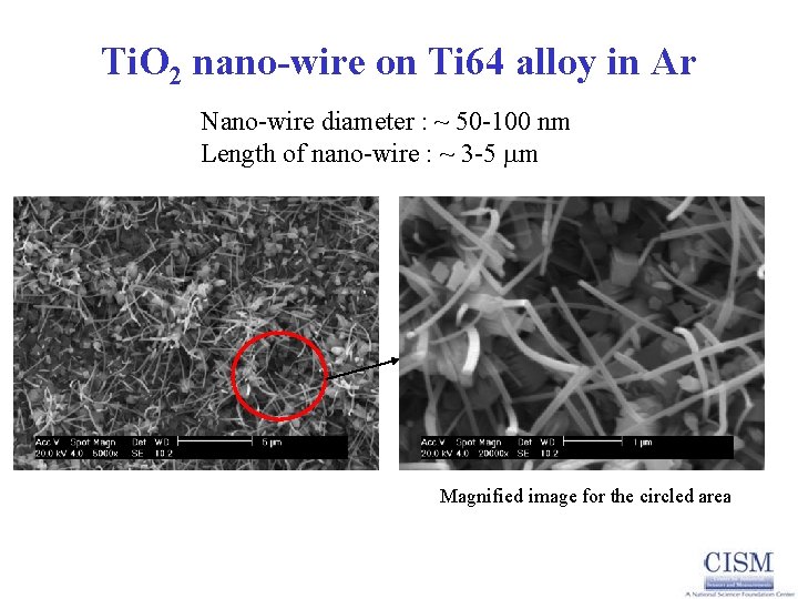 Ti. O 2 nano-wire on Ti 64 alloy in Ar Nano-wire diameter : ~