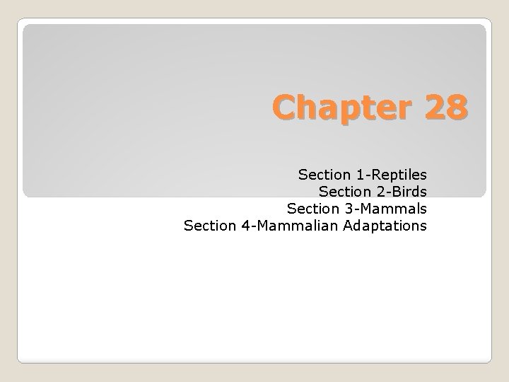 Chapter 28 Section 1 -Reptiles Section 2 -Birds Section 3 -Mammals Section 4 -Mammalian