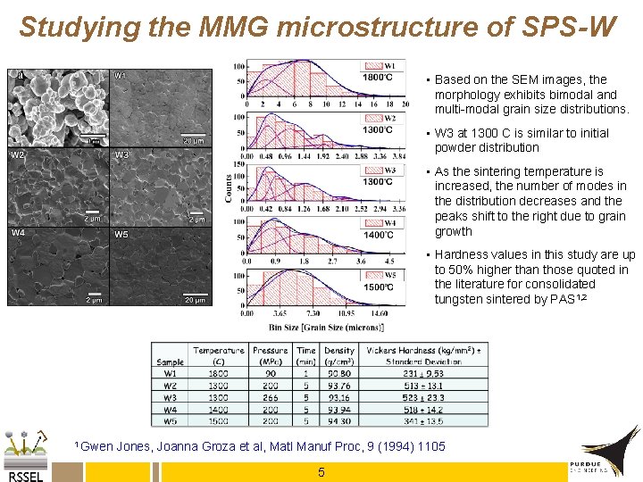 Studying the MMG microstructure of SPS-W • Based on the SEM images, the morphology