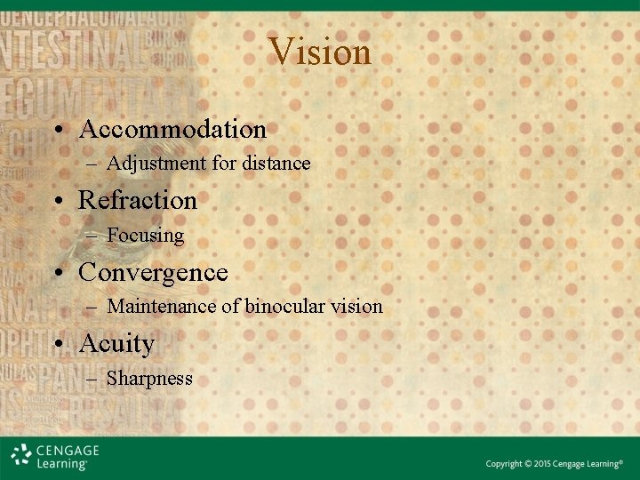 Vision • Accommodation – Adjustment for distance • Refraction – Focusing • Convergence – Vision • Accommodation – Adjustment for distance • Refraction – Focusing • Convergence –