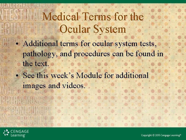 Medical Terms for the Ocular System • Additional terms for ocular system tests, pathology, Medical Terms for the Ocular System • Additional terms for ocular system tests, pathology,