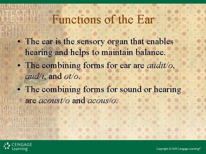 Functions of the Ear • The ear is the sensory organ that enables hearing Functions of the Ear • The ear is the sensory organ that enables hearing