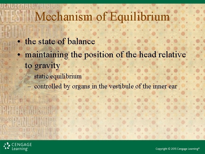 Mechanism of Equilibrium • the state of balance • maintaining the position of the Mechanism of Equilibrium • the state of balance • maintaining the position of the