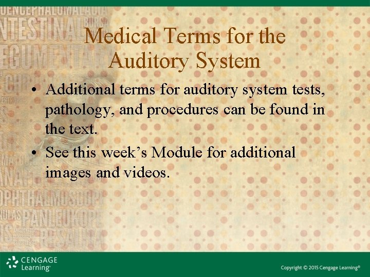 Medical Terms for the Auditory System • Additional terms for auditory system tests, pathology, Medical Terms for the Auditory System • Additional terms for auditory system tests, pathology,