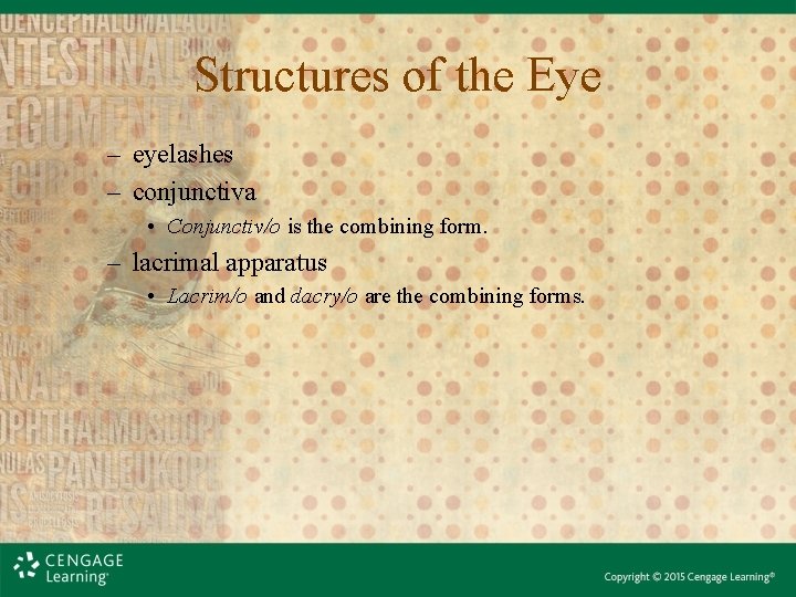 Structures of the Eye – eyelashes – conjunctiva • Conjunctiv/o is the combining form. Structures of the Eye – eyelashes – conjunctiva • Conjunctiv/o is the combining form.