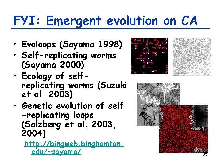 FYI: Emergent evolution on CA • Evoloops (Sayama 1998) • Self-replicating worms (Sayama 2000)