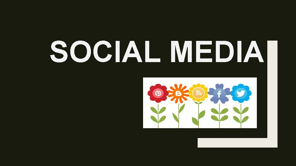 SOCIAL MEDIA 