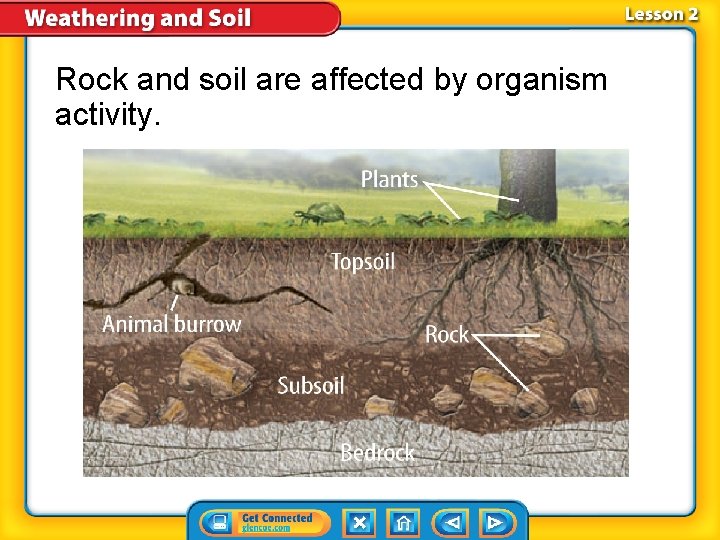 Rock and soil are affected by organism activity. 