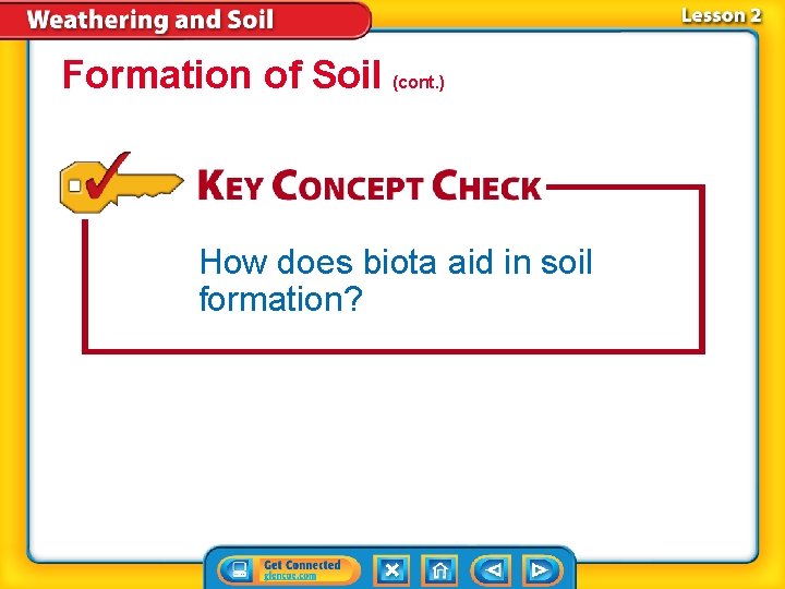 Formation of Soil (cont. ) How does biota aid in soil formation? 