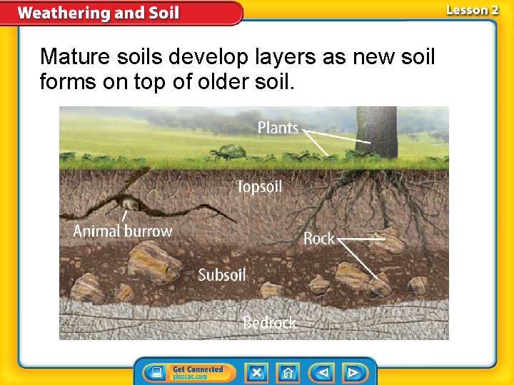 Mature soils develop layers as new soil forms on top of older soil. 