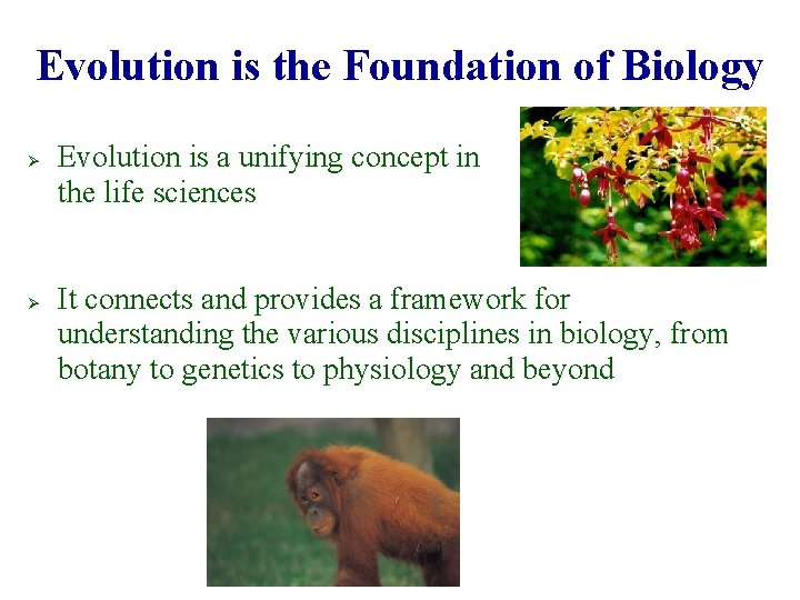 Evolution is the Foundation of Biology Ø Ø Evolution is a unifying concept in