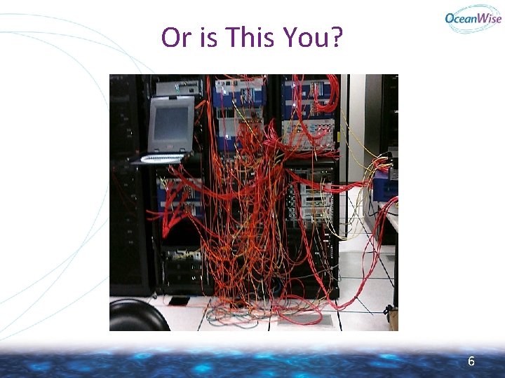 Or is This You? 6 