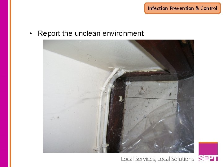 Infection Prevention & Control • Report the unclean environment 