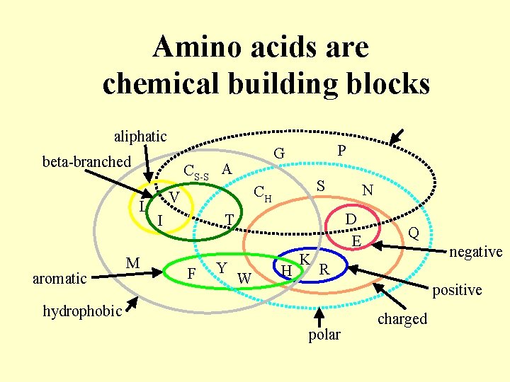 Amino acids are chemical building blocks aliphatic beta-branched CS-S A L aromatic M P