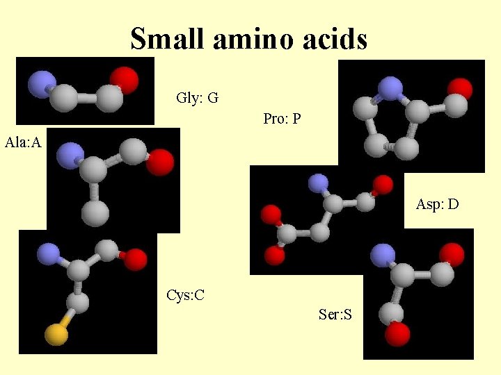 Small amino acids Gly: G Pro: P Ala: A Asp: D Cys: C Ser: