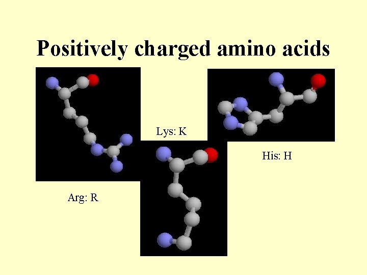 Positively charged amino acids Lys: K His: H Arg: R 