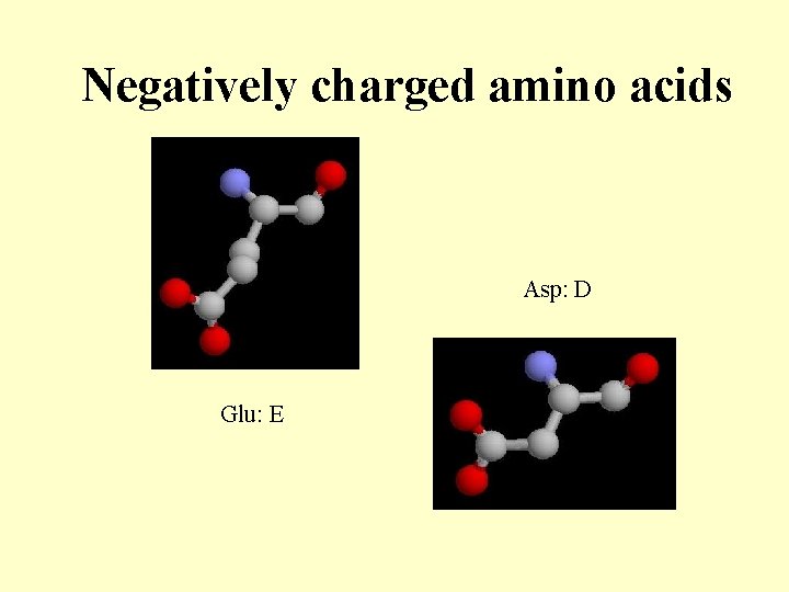 Negatively charged amino acids Asp: D Glu: E 