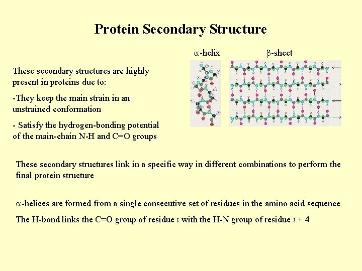 Protein Secondary Structure -helix -sheet These secondary structures are highly present in proteins due