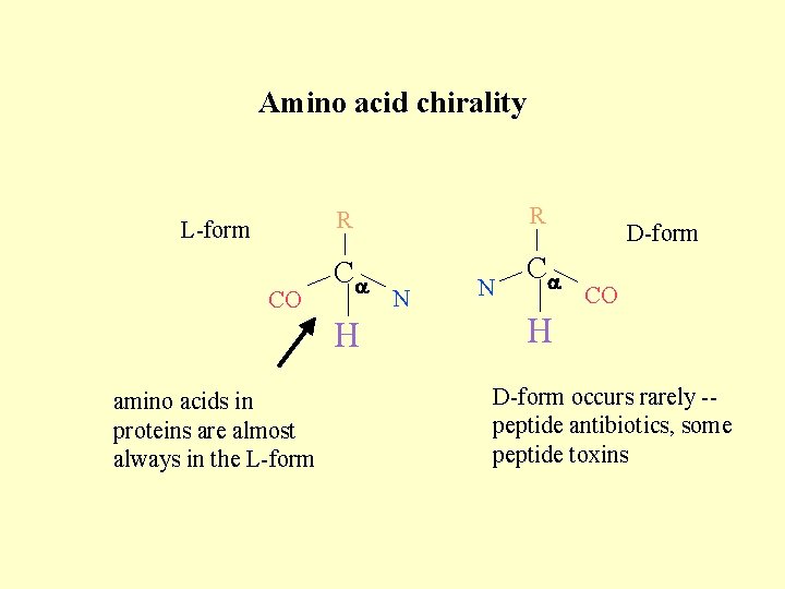 Amino acid chirality L-form CO R R Ca Ca H amino acids in proteins