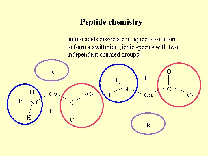 Peptide chemistry amino acids dissociate in aqueous solution to form a zwitterion (ionic species