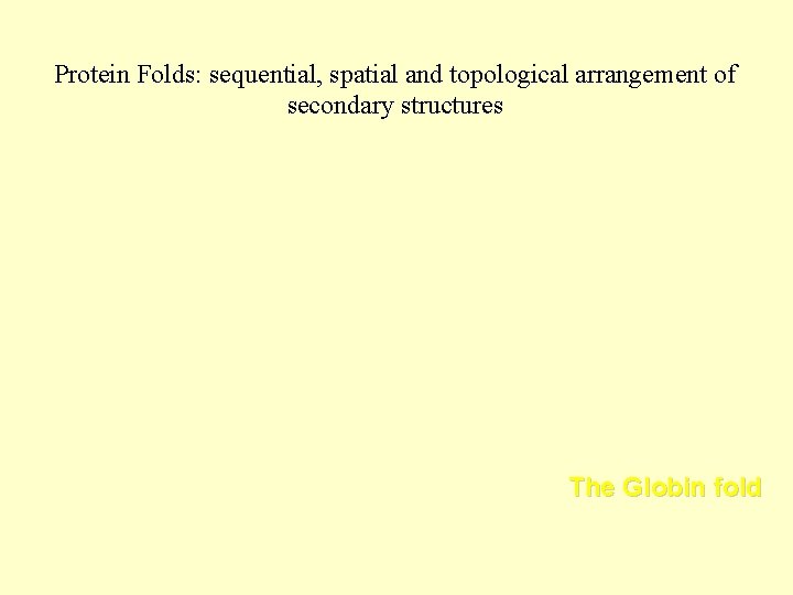 Protein Folds: sequential, spatial and topological arrangement of secondary structures The Globin fold 